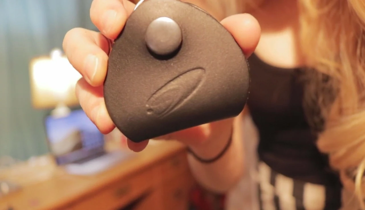 The pig-shaped pick case