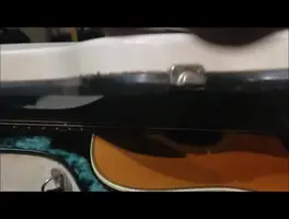 Calton Guitar Case Review: Is This Luxury Case Worth the Price?