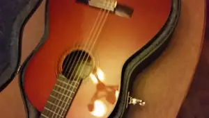 Guitar Case Handle Replacement: A DIY Guide