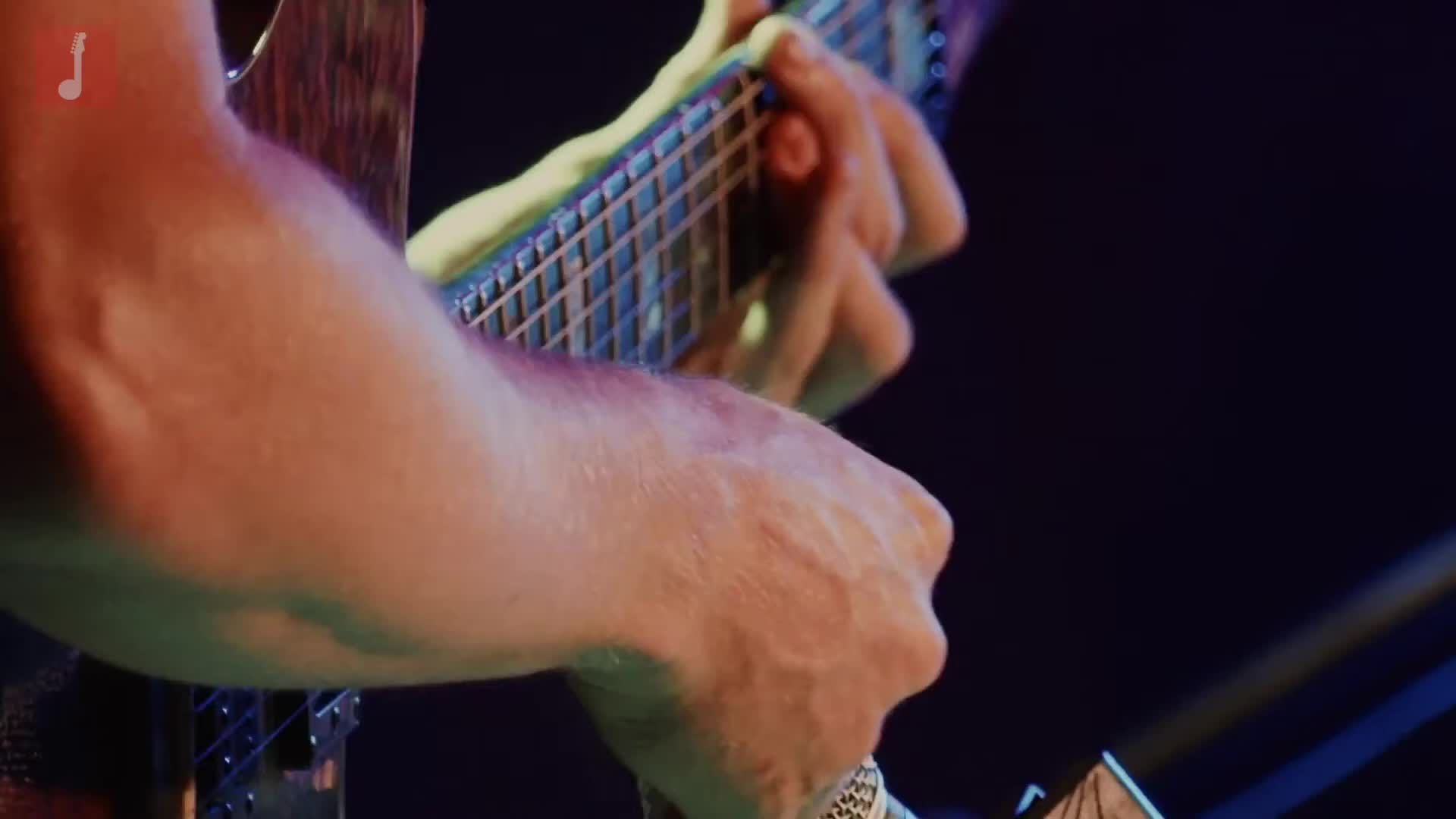 Close-up shot of guitar strings