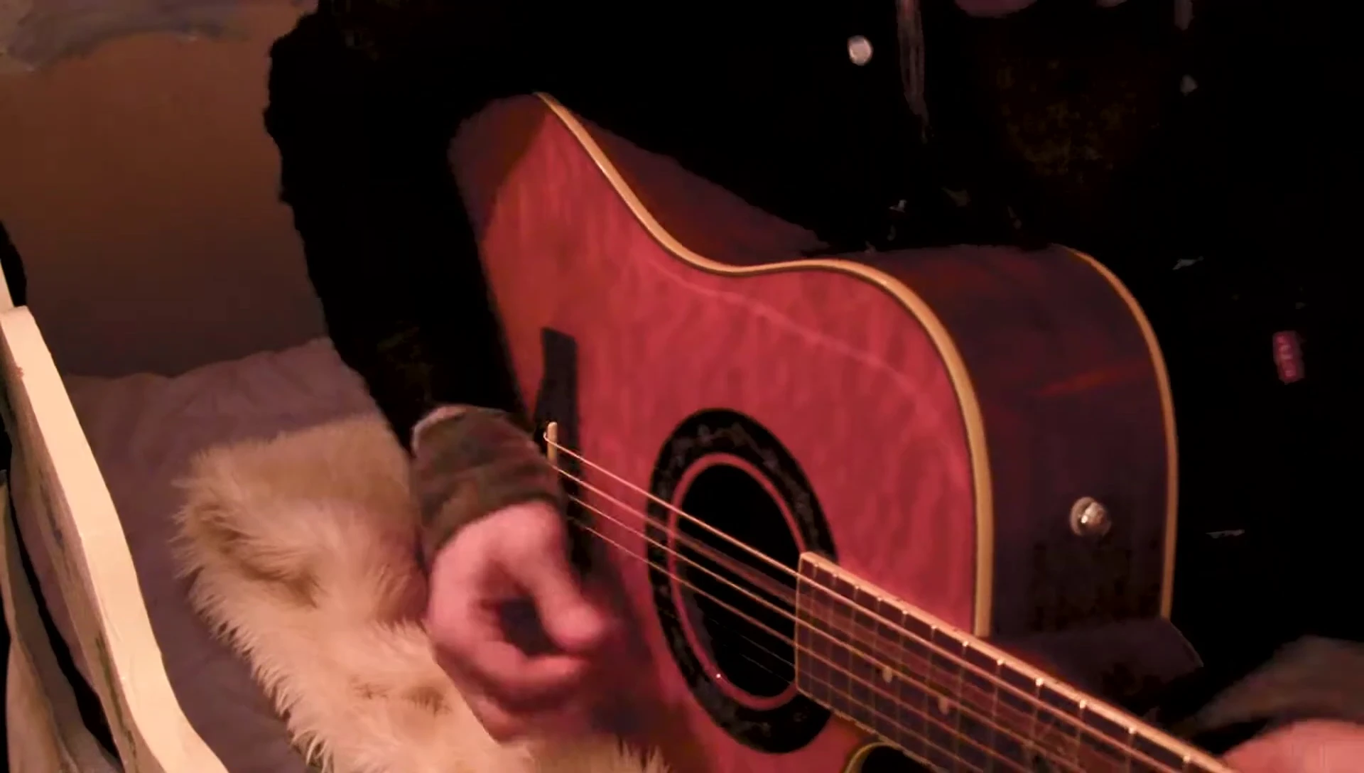Guitarist demonstrating aggressive picking technique