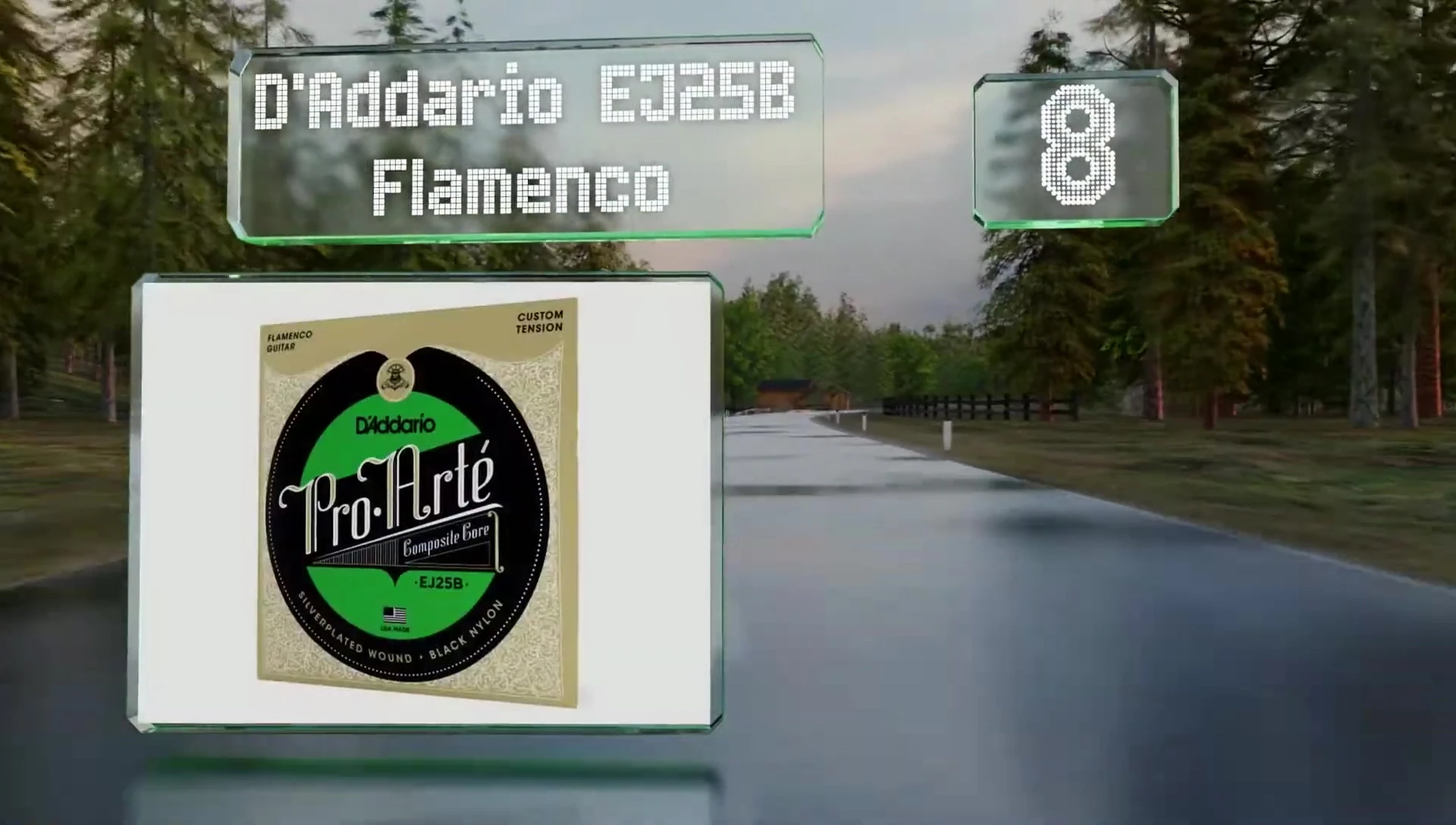 D'Addario EJ25B Flamenco strings packaging