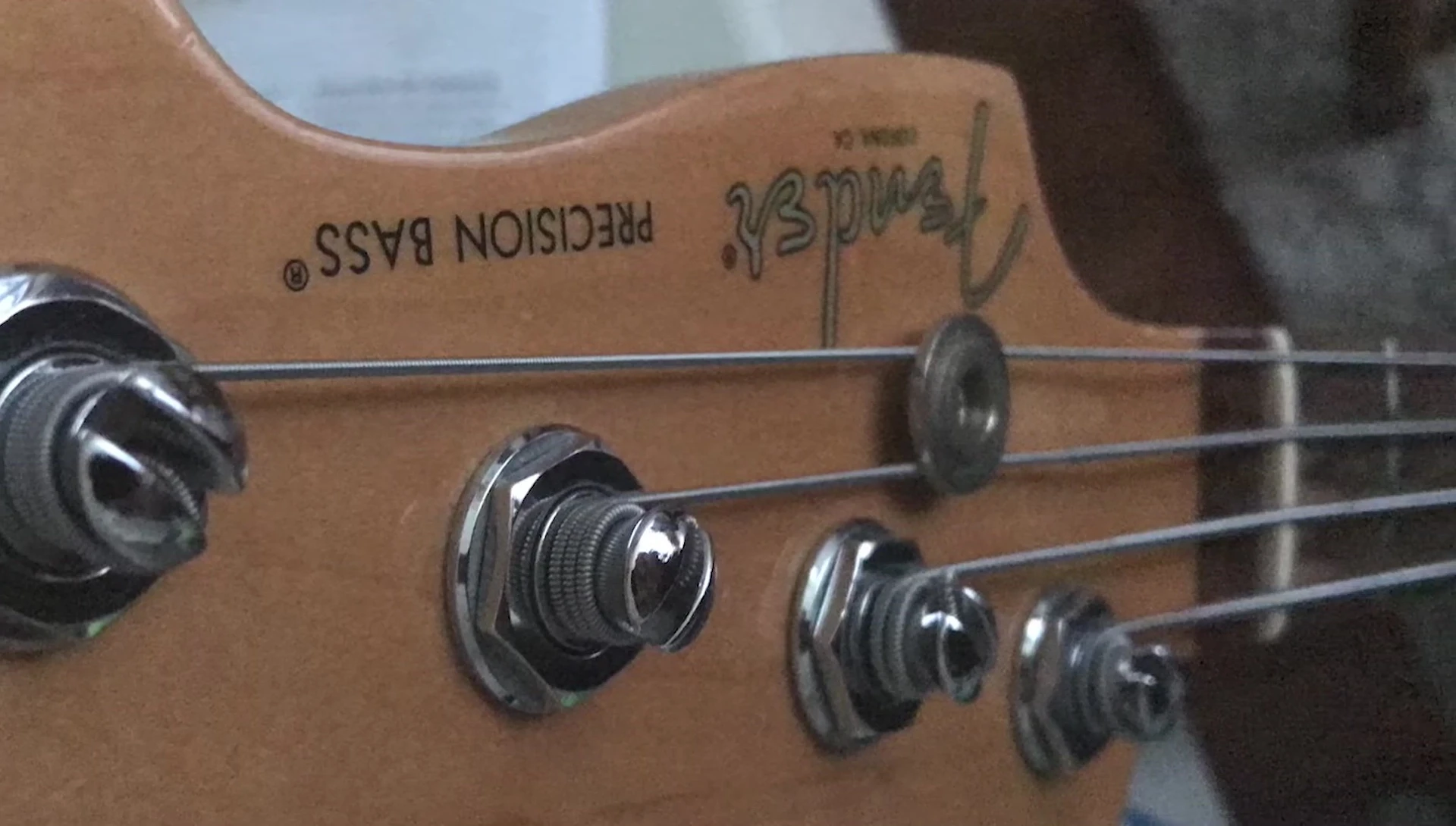 Close-up of D'Addario EXL165 strings on a bass