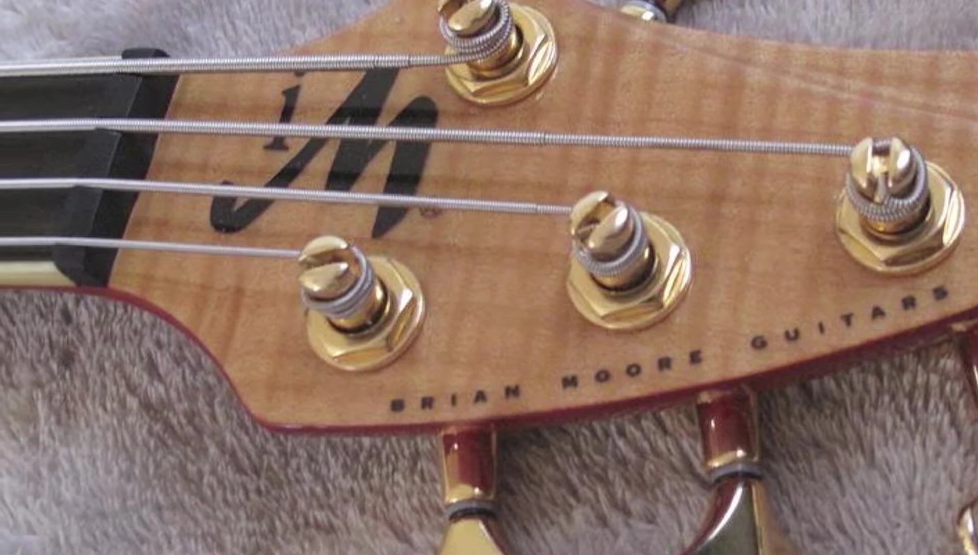 Image showcasing D'Addario's Nylon Tape Wound strings
