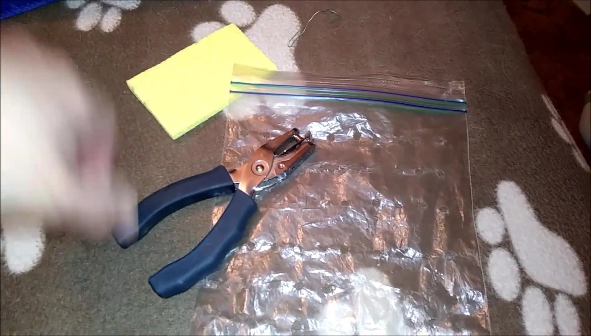 Close-up of materials: ziplock bag, sponge, and paperclip