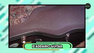 Best Guitar Humidifiers 2024: Top 5 Picks for Protecting Your Instrument