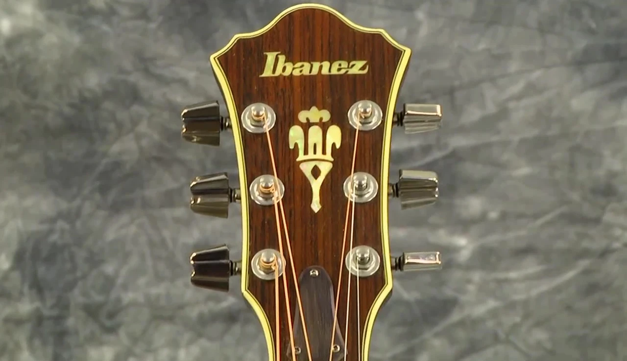 Close-up of the headstock showing the replacement truss rod cover.