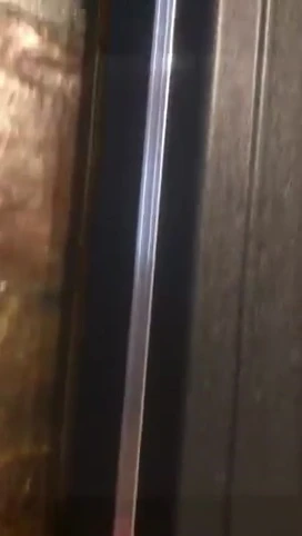 The case being put into the car