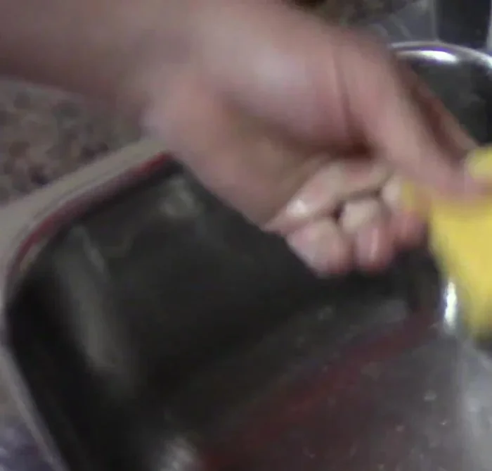 Place the damp sponge back into the Planet Waves container.