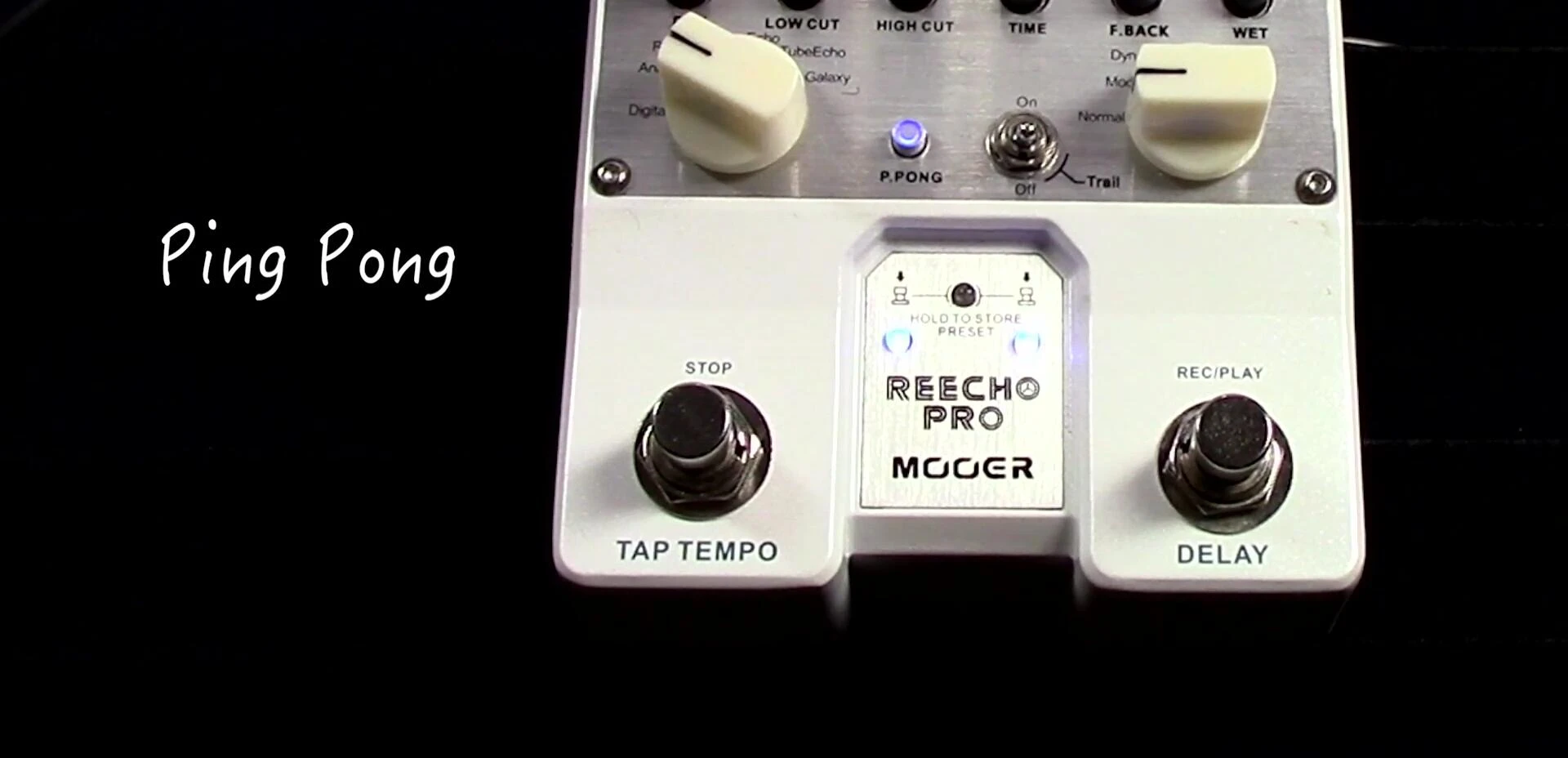 Audience applauding the performance featuring the Reecho Pro