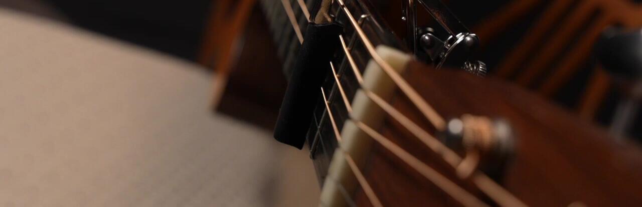 Close-up of the Shubb C8 partial capo