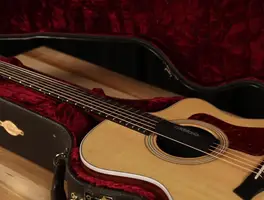 Guitar Humidity: Maintaining Your Instrument's Health