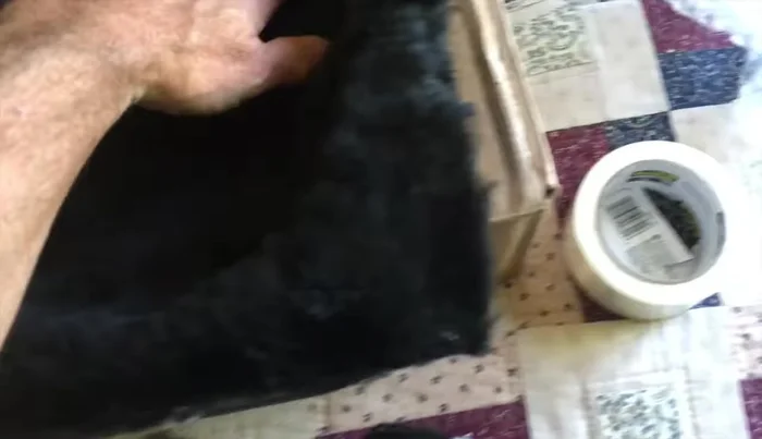 Insert the customized insert into the guitar case and tuck any remaining fur.