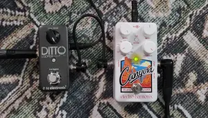 Loopers in Delay Pedals: Are They Worth the Hype?